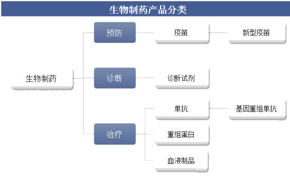 2025年生物制藥行業(yè)政策分析：生物制藥行業(yè)標(biāo)準(zhǔn)構(gòu)建完善制度環(huán)境