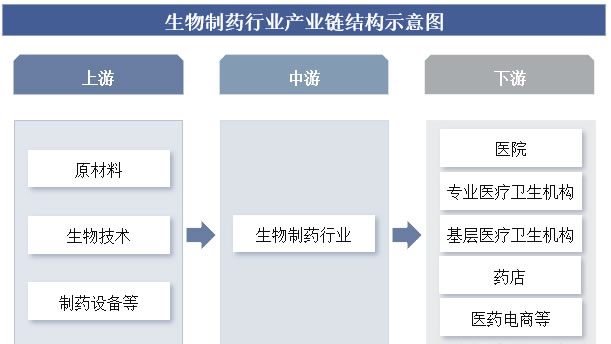 2025年生物制藥行業(yè)政策分析：生物制藥行業(yè)標(biāo)準(zhǔn)構(gòu)建完善制度環(huán)境